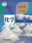 九年级化学全一册(五四制)电子课本目录